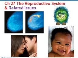 Ch  27 The Reproductive System