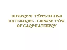 Different types of fish hatcheries - Chinese type of carp hatchery
