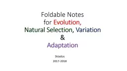 Foldable Notes  for