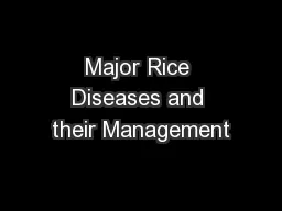 Major Rice Diseases and their Management