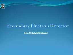 Secondary Electron