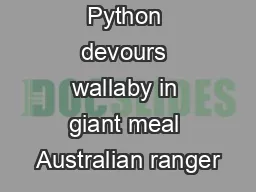 Python devours wallaby in giant meal Australian ranger