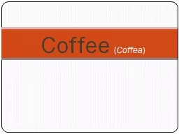 Coffee   ( Coffea )
