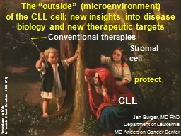 CLL Stromal cell protect