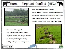 Human Elephant Conflict (HEC)