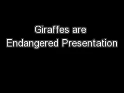 Giraffes are Endangered Presentation