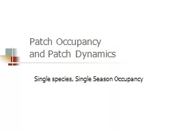Patch Occupancy  and Patch Dynamics