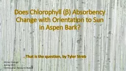 Does Chlorophyll ( β
