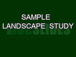 SAMPLE  LANDSCAPE  STUDY