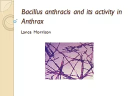 Bacillus  anthracis