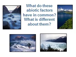 What do  these  abiotic