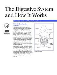The Digestive System and Ho w It Works National Digest