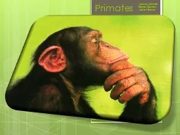 Primates Jesse Laitman