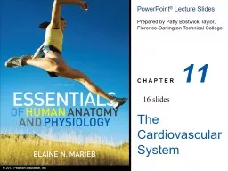 11 The Cardiovascular System