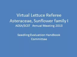 Virtual  Lettuce Referee