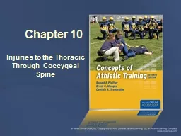 Chapter 10 Injuries to the Thoracic Through Coccygeal Spine