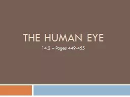 The Human Eye 14.2 – Pages 449-455