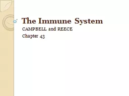The Immune System CAMPBELL and REECE