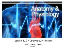 Lecture 11.0  – Cardiovascular System