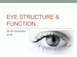 Eye structure & function