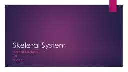 Skeletal System Berryhill &