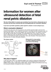 Information for women after ultrasound detection of fetal renal pelvic dilatation