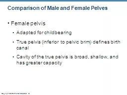 Comparison of Male and Female Pelves