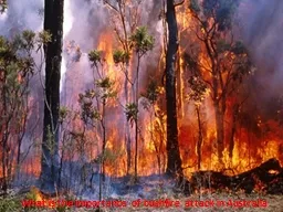 What is the importance of bushfire attack in Australia