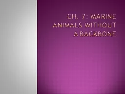 Ch. 7: Marine Animals Without a Backbone