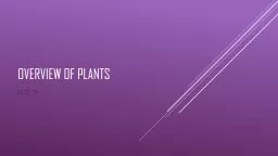 Overview of Plants Ch. 22 - 24