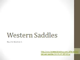 Western Saddles Equine Science 1