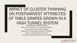 Impact of Cluster Thinning on
