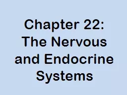 Chapter 22: The Nervous and Endocrine Systems