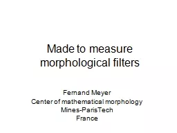 Made to measure morphological filters