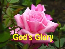 God’s Glory Psa 8:1-9