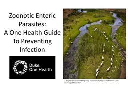 Zoonotic Enteric Parasites: