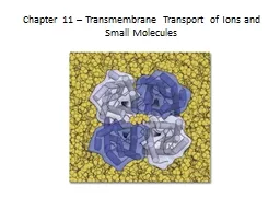 Chapter 11 –  Transmembrane