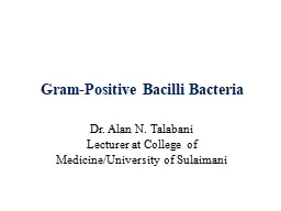 Gram-Positive Bacilli Bacteria