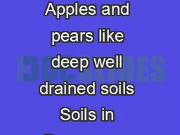 Growing Apples Presented by Ross Penhallegon Apples and Pears Soils Apples and pears like