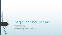 Dog CPR and First Aid