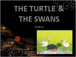 THE TURTLE & THE SWAN