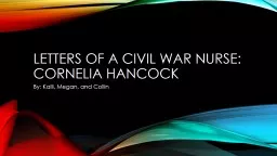 Letters of a civil war nurse: Cornelia Hancock