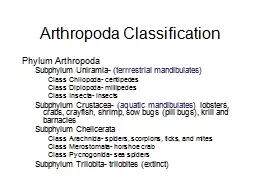 Arthropoda  Classification