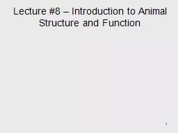1 Lecture #8 – Introduction to Animal Structure and Function