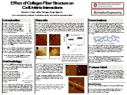 Methodology Effect of Collagen Fiber Structure on