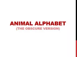 ANIMAL ALPHABET ( the