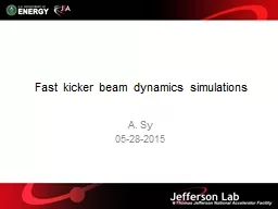 Fast  kicker beam dynamics simulations