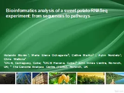 Bioinformatics analysis of a sweet potato