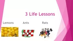 3 Life Lessons Lemons				 Ants 					 Rats