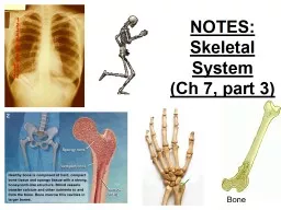 NOTES: Skeletal System